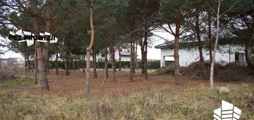 | czysta kw | morze | okolica |