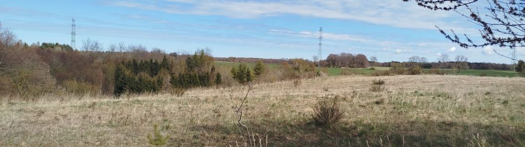 Działka siedliskowa toliszczek j .żarnowieckie