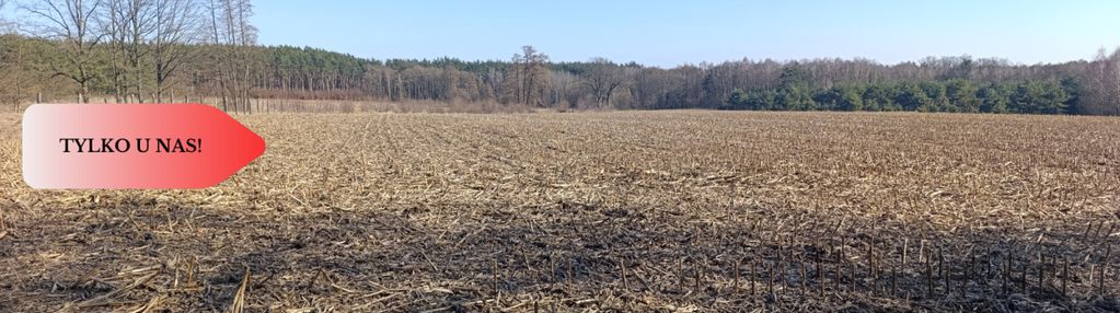 Grunt rolny/sad/pasieka/lokata kapitału/przestrzeń