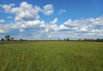 Działka na sprzedaż 7894m2