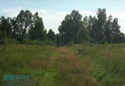 Kompleks działek koło żabiej woli