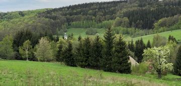 Działka/zagórze śląskie/okolice