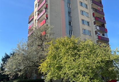 **zielone wzgórza*2 oddzielne pokoje