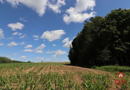 Działka budowlana na mazurach rożyńsk wielki