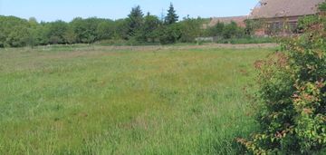 Działka 1300 m2 modrzewo
