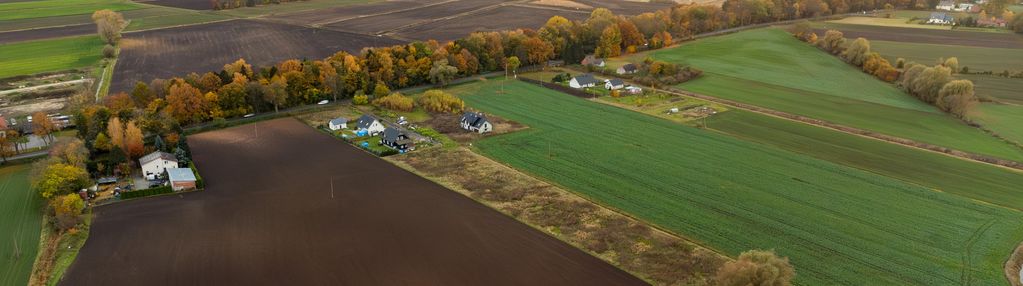 Pruszcz gdański, grabiny-zameczek duża działka!
