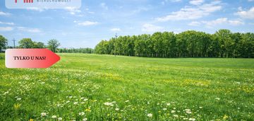 Na sprzedaż działka rolna 5 ha