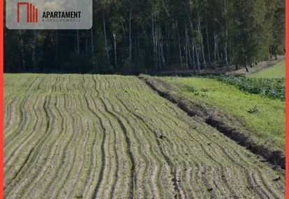 Działki z warunkami zabudowy blisko jezior i lasów