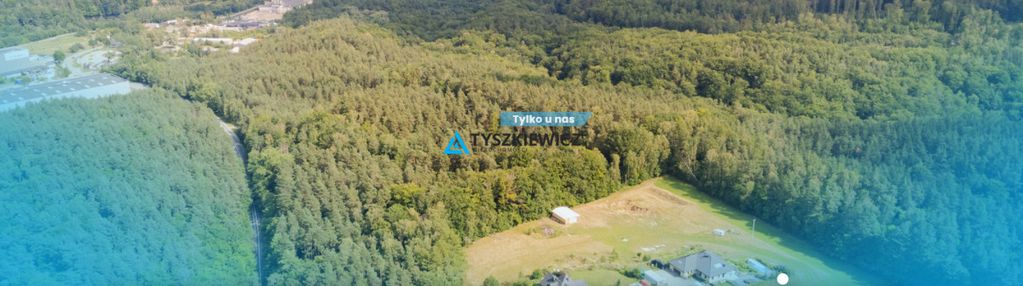 Czapielsk - piękna działka otoczona lasem!