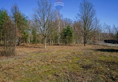 Działka budowlana 1004m2, grądy k. żyrardowa