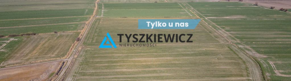 3 działki rolne pod uprawy - czerwone stogi