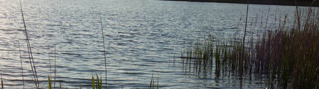 Duża działka z linią brzegową jeziora