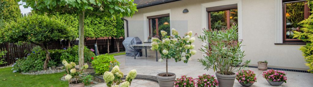 Dom z pięknym ogrodem lisiniec