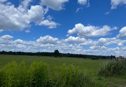 Działka o pow. 13200 m2 z widokiem na las.