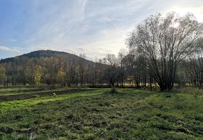 Piękna działka budowlana w szarocinie