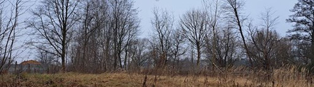 Działka budowlana z potencjałem – jejkowice