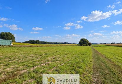 Działka 600 m² na sprzedaż – torzewo, gm. kozjaty