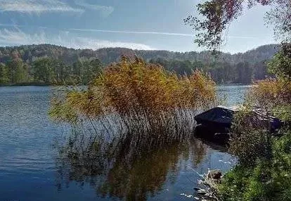 Działka letniskowa na Kaszubach