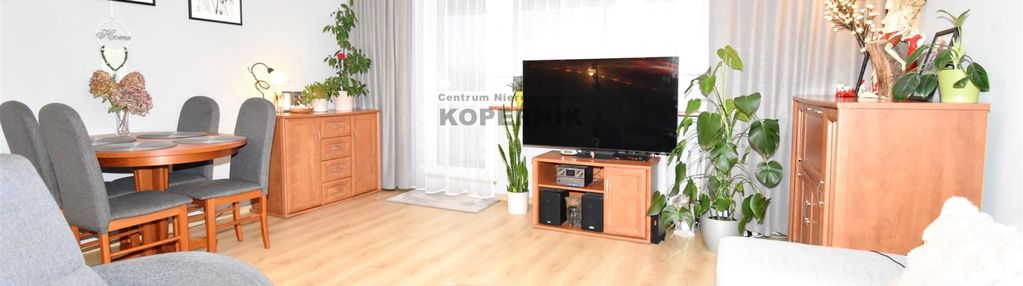 Bolta -poszukiwana lokalizacja i super rozkład