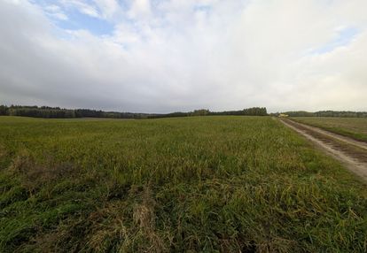 Pole uprawne, klasa bonitacji v i vi, las tuż obok