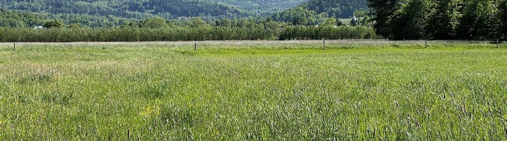 Widokowa działka od strony południowej