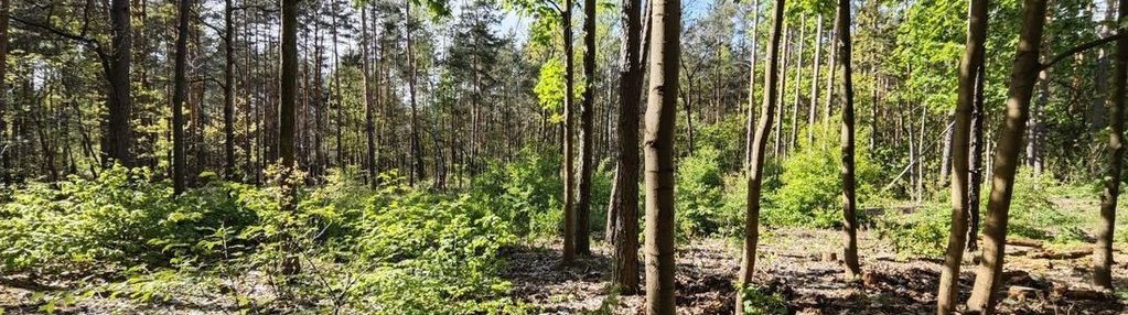 Działka budowlana - warszawa-wawer, radość