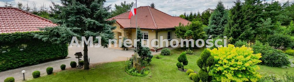 Dom marzeń w otoczeniu lasu
