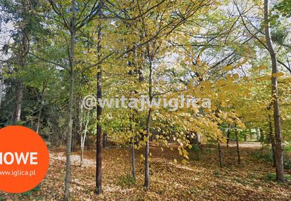 Działka rolna w pawłowicach