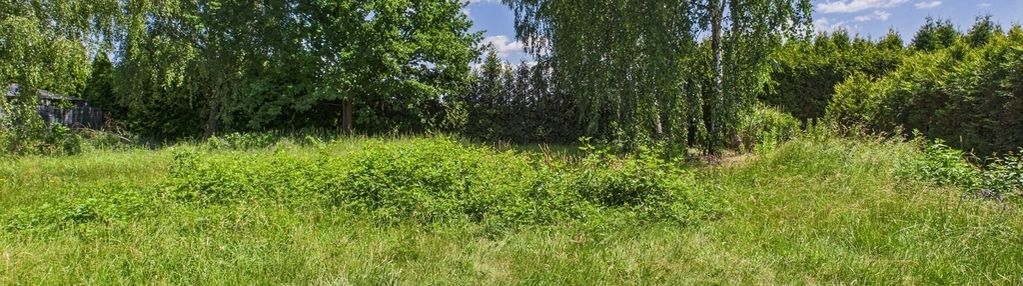 Atrakcyjna działka budowlana na sprzedaż w żorach