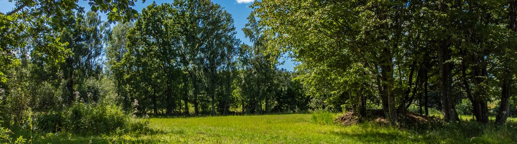 Działka budowlana nad jeziorem z dostępem do plaży