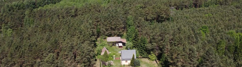 Dom w lesie bez sąsiadów