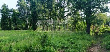 Na działce piękny starodrzew