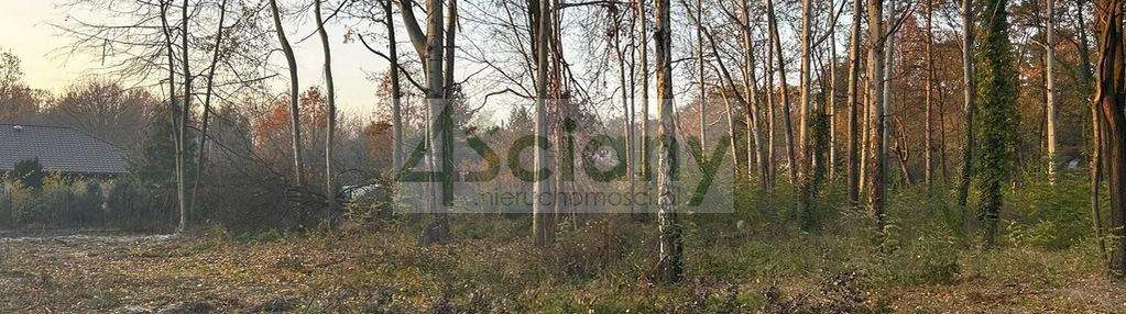 Działka blisko lasu młochowskiego