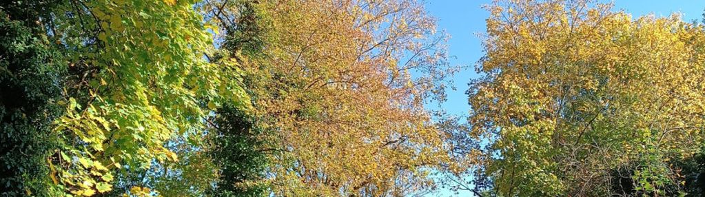 0 % prowizji !  oatatnie - 2 pokoje w tej cenie !