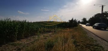 Działka 10 700m2 karolina