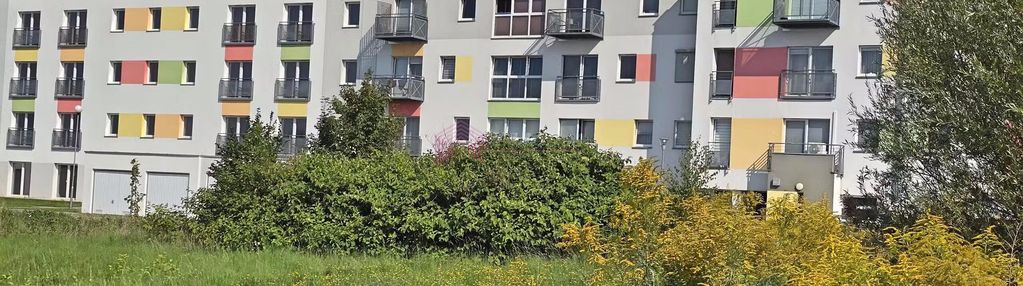 Mieszkanie o powierzchni 35,51 m2 z tarasem