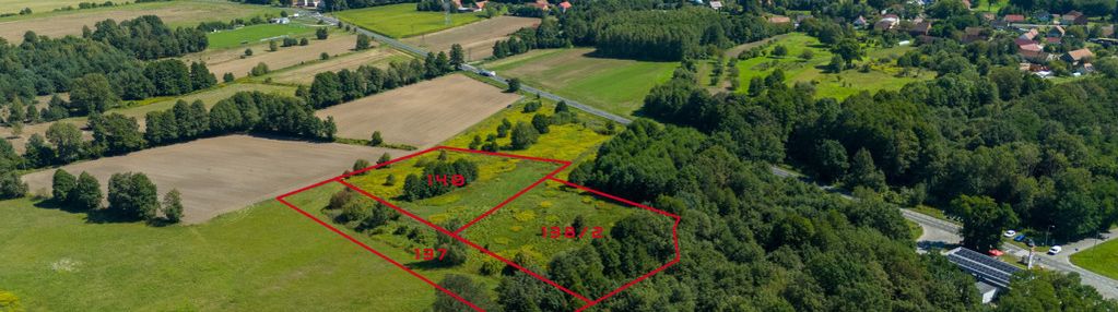 Promocja - działka na sprzedaż - powiat trzebnicki