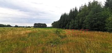 Działka idealna dla inwestora, do podziału!