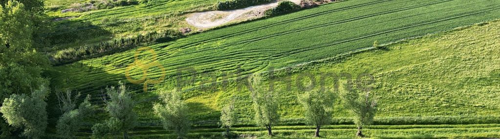 Przepięknie położona działka | kościan | kiełczewo