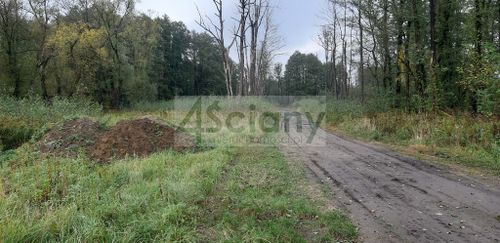 Działka w gminie leszno 200 metrów od puszczy
