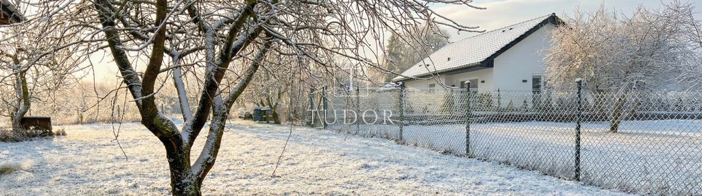 Cisza i natura w granicach miasta, wzgórze bukowe