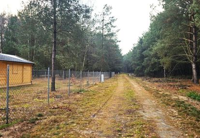 Działka z mpzp pięknie zadrzewiona w katarzynowie