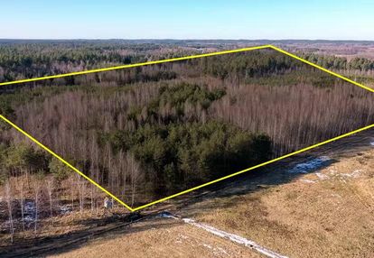 Działka leśna 2,35 ha grzegorze gm orzysz