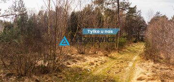 Działka leśna