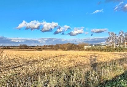 Działka inwestycyjna w wiązowie