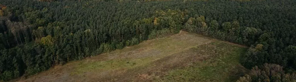 Ossa - Działka 1h od centrum Warszawy