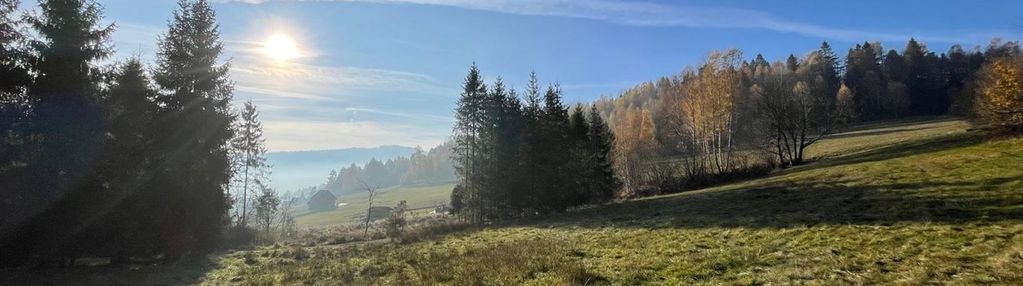 Widokowa, otoczona drzewami w malowniczej milówce!
