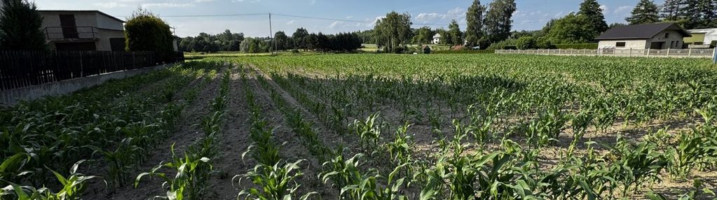 Działka inwestycyjna 5988 m² gorzyce | idealna dla