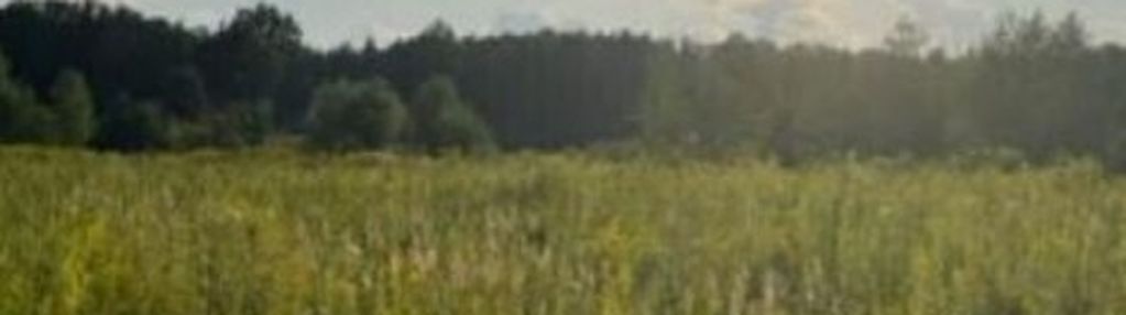 Działka budowlana blisko lasu, idealna inwestycja.