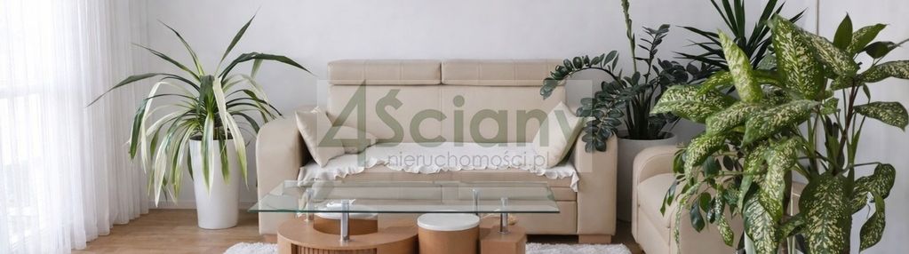 Atrakcyjne 3 pokoje przy wspólnej drodze